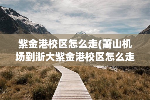 紫金港校区怎么走(萧山机场到浙大紫金港校区怎么走)