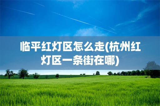 临平红灯区怎么走(杭州红灯区一条街在哪)