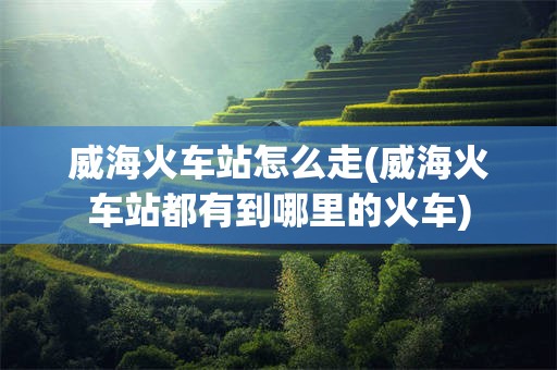 威海火车站怎么走(威海火车站都有到哪里的火车)