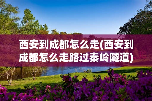 西安到成都怎么走(西安到成都怎么走路过秦岭隧道)