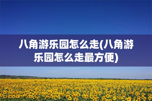 八角游乐园怎么走(八角游乐园怎么走最方便)