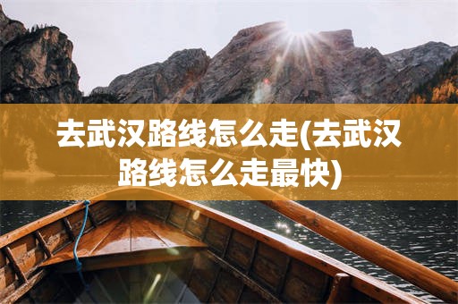 去武汉路线怎么走(去武汉路线怎么走最快)