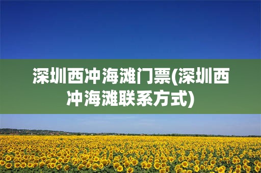 深圳西冲海滩门票(深圳西冲海滩联系方式)