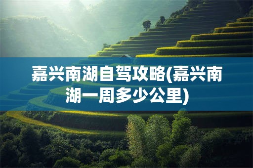 嘉兴南湖自驾攻略(嘉兴南湖一周多少公里)