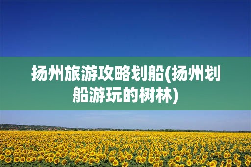 扬州旅游攻略划船(扬州划船游玩的树林)