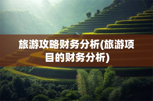 旅游攻略财务分析(旅游项目的财务分析)