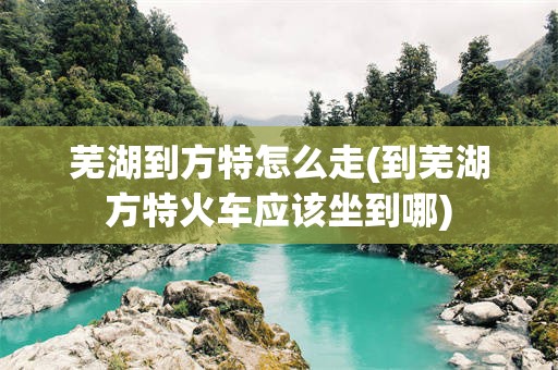 芜湖到方特怎么走(到芜湖方特火车应该坐到哪)