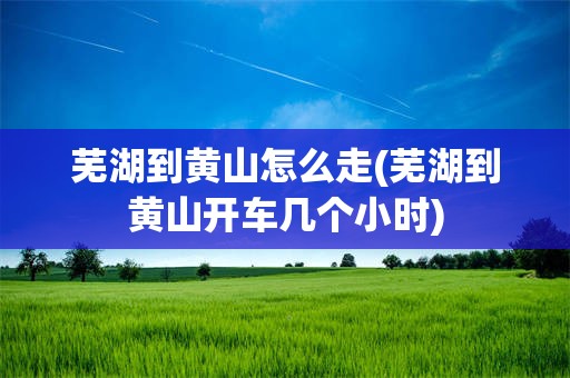 芜湖到黄山怎么走(芜湖到黄山开车几个小时)
