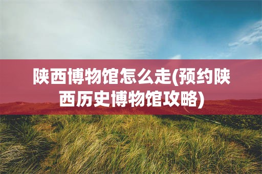 陕西博物馆怎么走(预约陕西历史博物馆攻略)