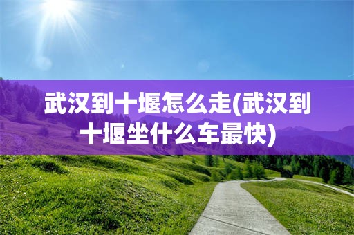 武汉到十堰怎么走(武汉到十堰坐什么车最快)