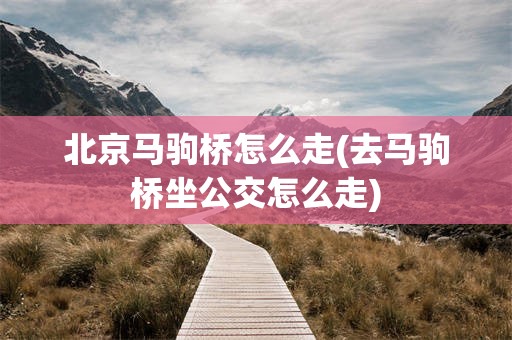 北京马驹桥怎么走(去马驹桥坐公交怎么走)