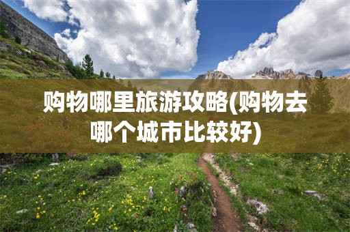 购物哪里旅游攻略(购物去哪个城市比较好)