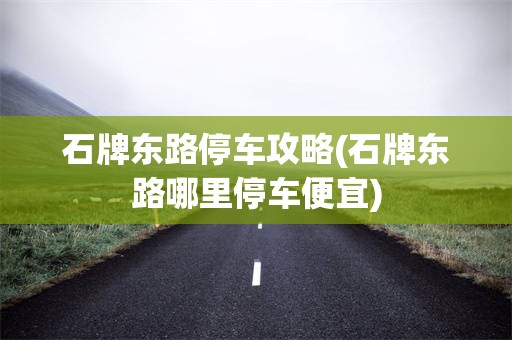 石牌东路停车攻略(石牌东路哪里停车便宜)