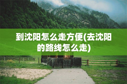 到沈阳怎么走方便(去沈阳的路线怎么走)