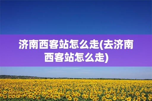 济南西客站怎么走(去济南西客站怎么走)