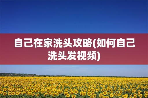 自己在家洗头攻略(如何自己洗头发视频)