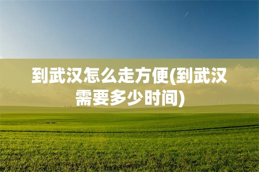 到武汉怎么走方便(到武汉需要多少时间)