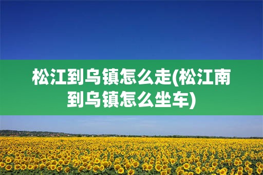 松江到乌镇怎么走(松江南到乌镇怎么坐车)