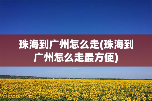珠海到广州怎么走(珠海到广州怎么走最方便)