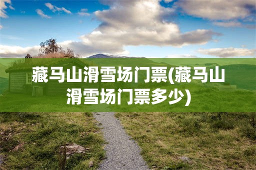 藏马山滑雪场门票(藏马山滑雪场门票多少)