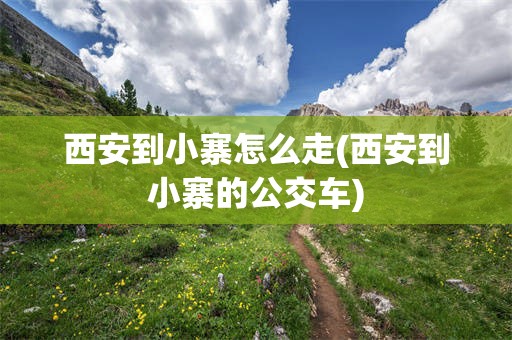 西安到小寨怎么走(西安到小寨的公交车)