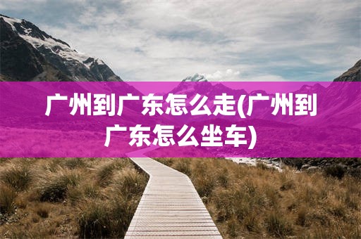 广州到广东怎么走(广州到广东怎么坐车)