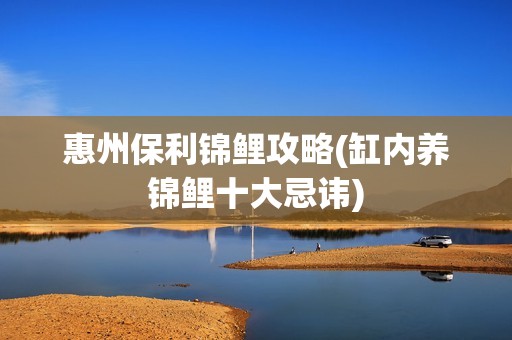 惠州保利锦鲤攻略(缸内养锦鲤十大忌讳)