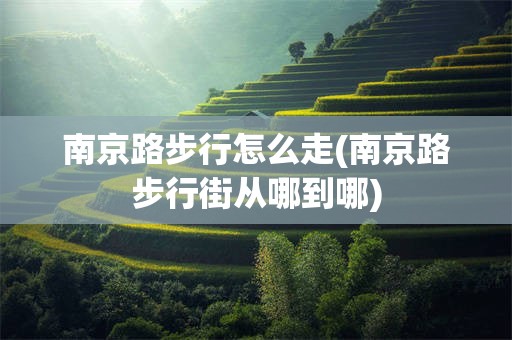 南京路步行怎么走(南京路步行街从哪到哪)