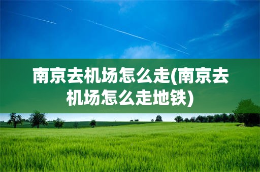 南京去机场怎么走(南京去机场怎么走地铁)