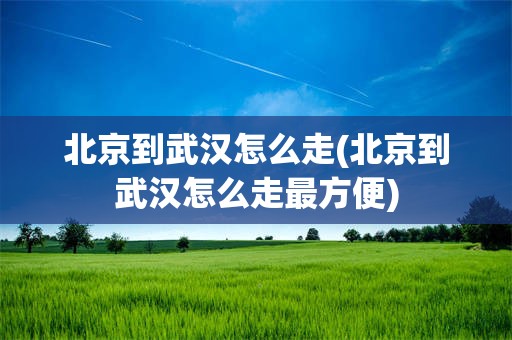 北京到武汉怎么走(北京到武汉怎么走最方便)