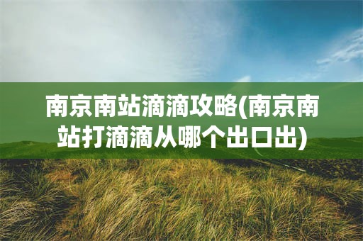 南京南站滴滴攻略(南京南站打滴滴从哪个出口出)