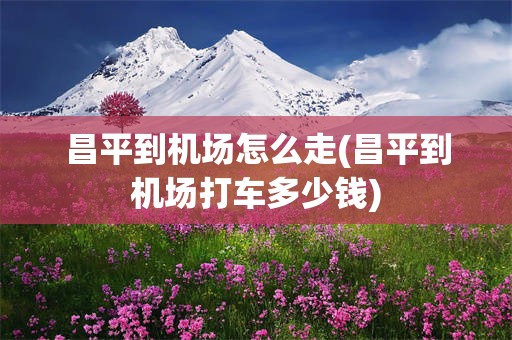 昌平到机场怎么走(昌平到机场打车多少钱)
