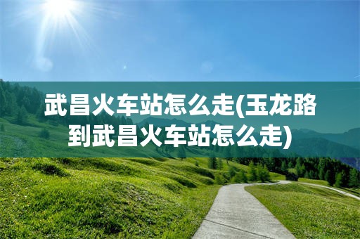 武昌火车站怎么走(玉龙路到武昌火车站怎么走)