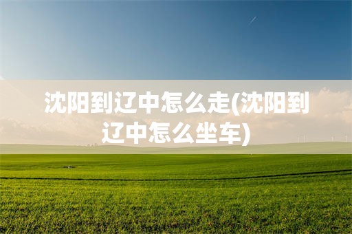 沈阳到辽中怎么走(沈阳到辽中怎么坐车)