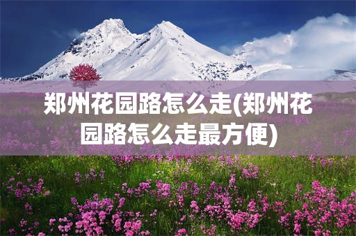 郑州花园路怎么走(郑州花园路怎么走最方便)