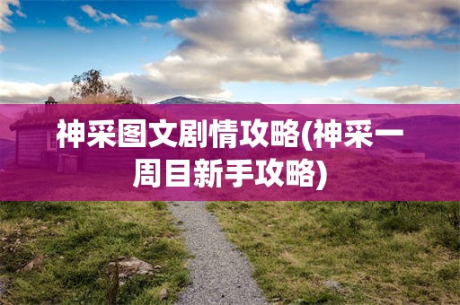 神采图文剧情攻略(神采一周目新手攻略)