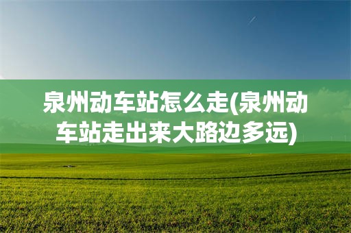 泉州动车站怎么走(泉州动车站走出来大路边多远)