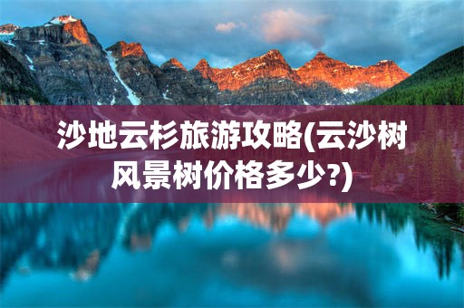 沙地云杉旅游攻略(云沙树风景树价格多少?)