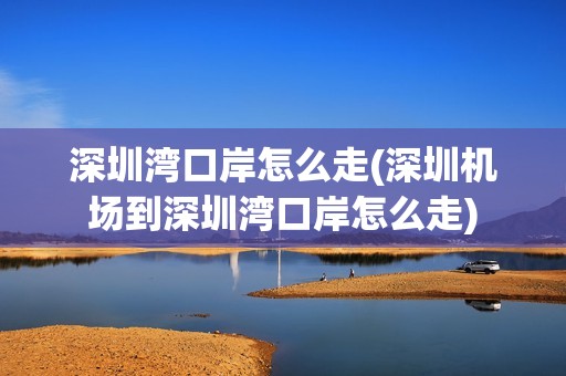 深圳湾口岸怎么走(深圳机场到深圳湾口岸怎么走)