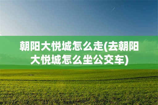 朝阳大悦城怎么走(去朝阳大悦城怎么坐公交车)