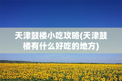 天津鼓楼小吃攻略(天津鼓楼有什么好吃的地方)