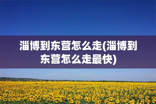 淄博到东营怎么走(淄博到东营怎么走最快)