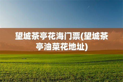 望城茶亭花海门票(望城茶亭油菜花地址)