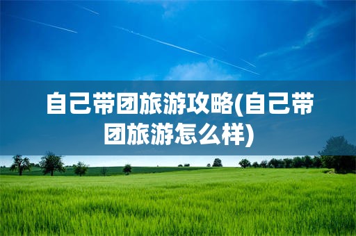 自己带团旅游攻略(自己带团旅游怎么样)