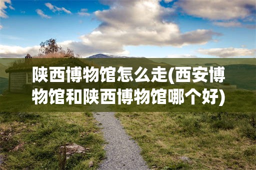陕西博物馆怎么走(西安博物馆和陕西博物馆哪个好)