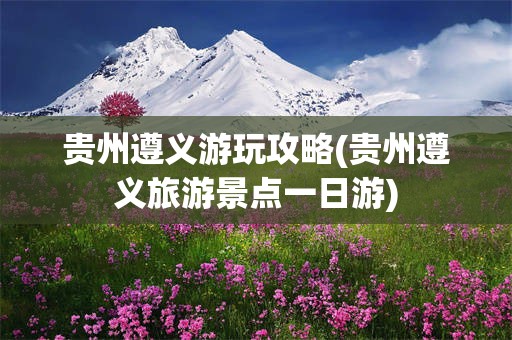 贵州遵义游玩攻略(贵州遵义旅游景点一日游)
