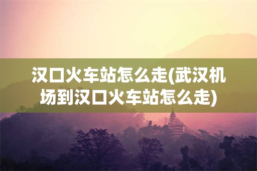 汉口火车站怎么走(武汉机场到汉口火车站怎么走)