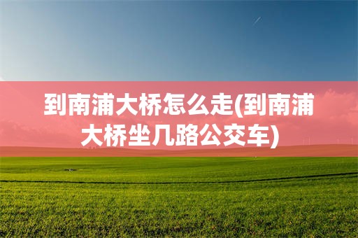 到南浦大桥怎么走(到南浦大桥坐几路公交车)