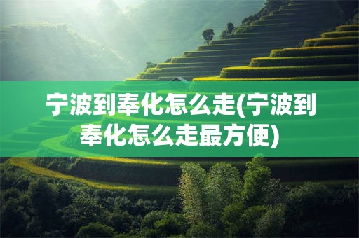 宁波到奉化怎么走(宁波到奉化怎么走最方便)