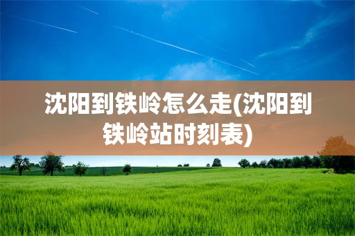 沈阳到铁岭怎么走(沈阳到铁岭站时刻表)